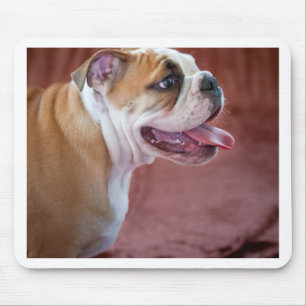 Engelse bulldog puppy muismat