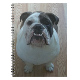Engelse bulldog puppy notebook notitieboek