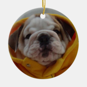 Engelse Bulldog Puppy Ornament