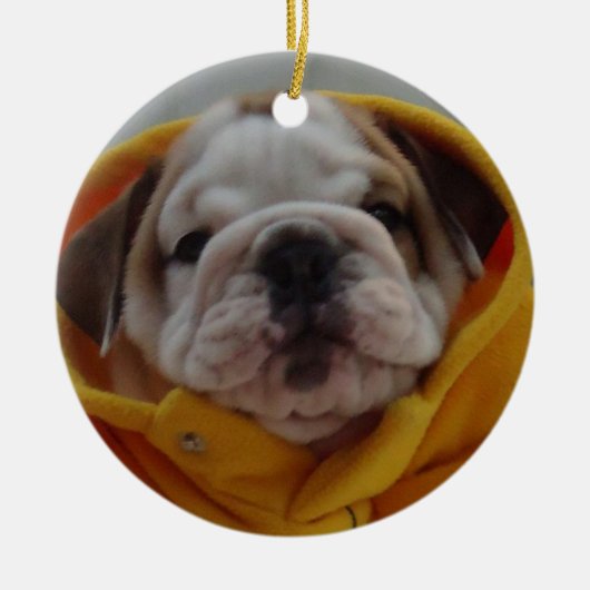 Engelse Bulldog Puppy Ornament (Voorkant)