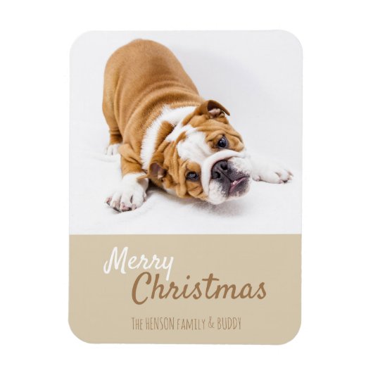 Engelse Bulldog Puppy Photo met Kerstmis Aangepast Magneet (Verticaal)