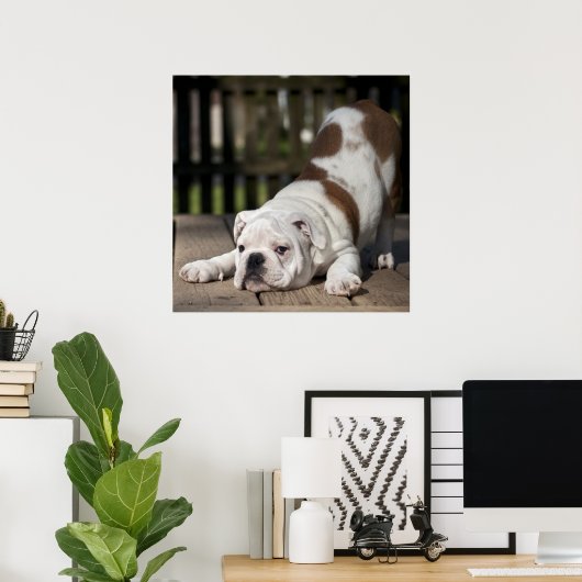 Engelse bulldog Puppy Poster (Thuiskantoor)