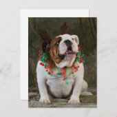 Engelse Bulldog Reindeer Briefkaart (Voorkant / Achterkant)