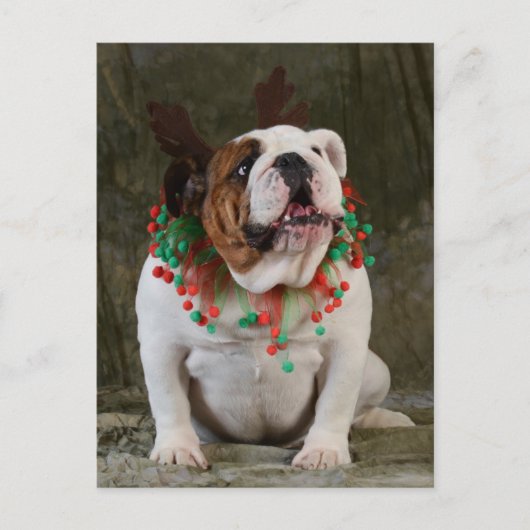 Engelse Bulldog Reindeer Briefkaart (Voorkant)