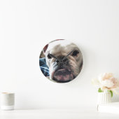 Engelse Bulldog Ronde Klok (Huis)