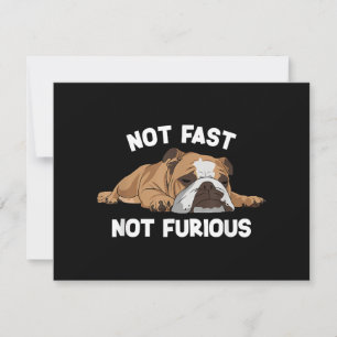 Engelse Bulldog slaapt niet snel niet woedend plez