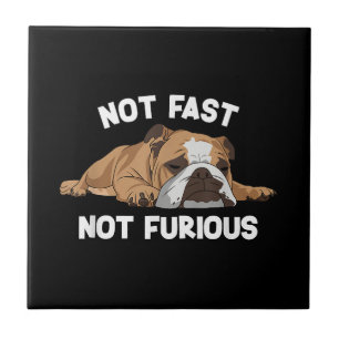 Engelse Bulldog slaapt niet snel niet woedend plez Tegeltje
