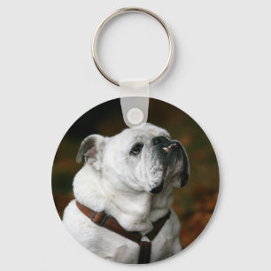 Engelse Bulldog Sleutelhanger