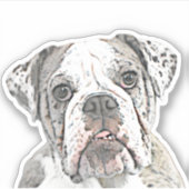 Engelse Bulldog Sticker (Voorkant)