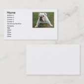 Engelse Bulldog Visitekaartjes (Voorkant / Achterkant)