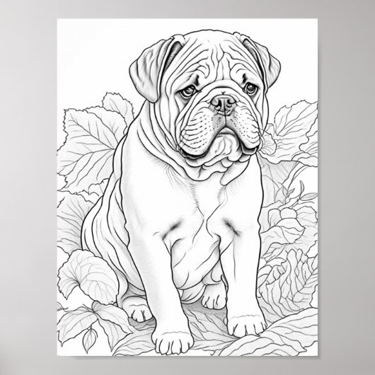 Engelse Bulldog volwassen kleuring Poster (Voorkant)
