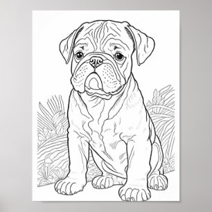 Engelse Bulldog volwassen kleuring Poster