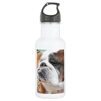 Engelse Bulldog Waterfles