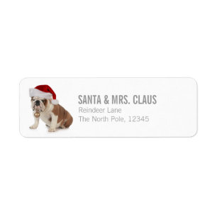 Engelse Bulldog Wearing Santa Hat Etiket