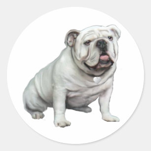 Engelse Bulldog - White 1 Ronde Sticker