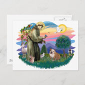 Engelse Bulldog (witbruin) Briefkaart (Voorkant / Achterkant)