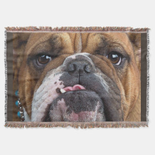 Engelse Bulldog Worpkussen Deken