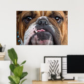 Engelse Bulldog Worpkussen Poster (Thuiskantoor)