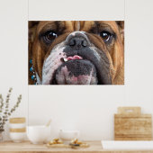 Engelse Bulldog Worpkussen Poster (Keuken)