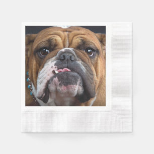 Engelse Bulldog Worpkussen Servet
