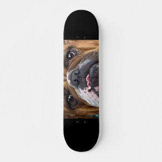 Engelse Bulldog Worpkussen Skateboard