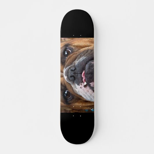 Engelse Bulldog Worpkussen Skateboard (Voorkant)