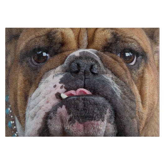 Engelse Bulldog Worpkussen Snijplank (Voorkant)