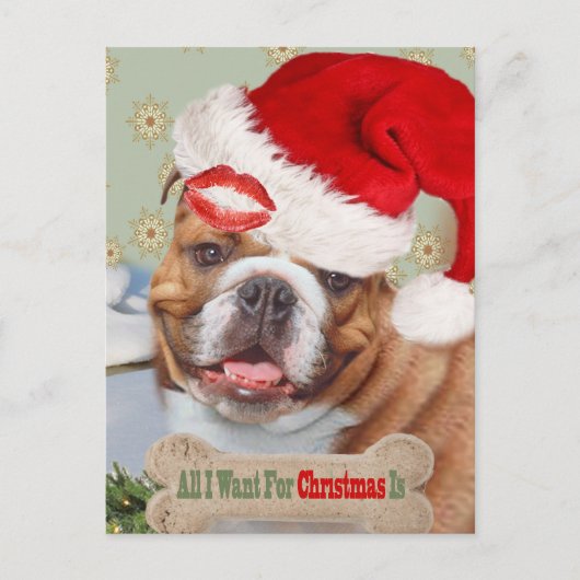 Engelse Bulldog zoent met kerst Feestdagenkaart (Voorkant)