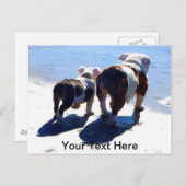 Engelse Bulldogs Briefkaart (Voorkant / Achterkant)