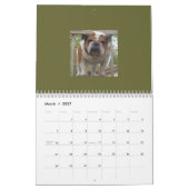 Engelse Bulldogs Calendar! Kalender (Mar 2027)