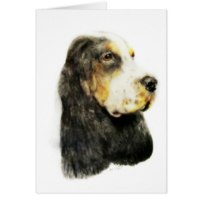 Engelse Cocker Spaniel (Voorkant)