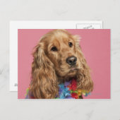 Engelse Cocker Spaniel (10 maanden oud) Briefkaart (Voorkant / Achterkant)