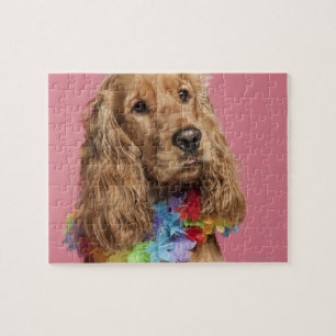 Engelse Cocker Spaniel (10 maanden oud) Legpuzzel