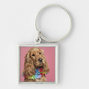 Engelse Cocker Spaniel (10 maanden oud) Sleutelhanger