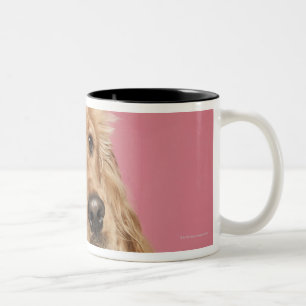 Engelse Cocker Spaniel (10 maanden oud) Tweekleurige Koffiemok
