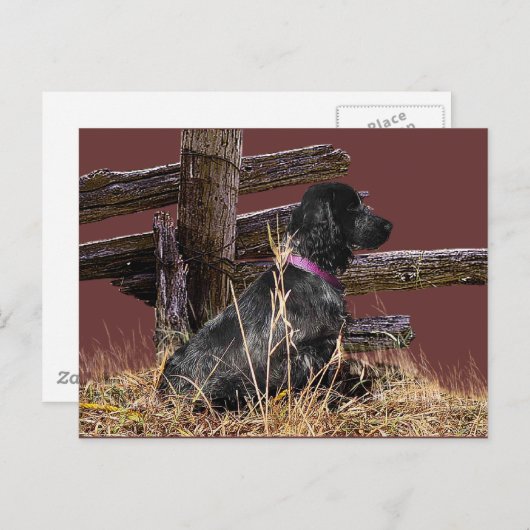 Engelse Cocker Spaniel Briefkaart (Voorkant / Achterkant)