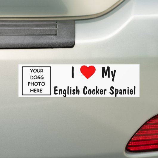 Engelse Cocker Spaniel Bumpersticker (Op auto)