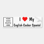 Engelse Cocker Spaniel Bumpersticker (Voorkant)