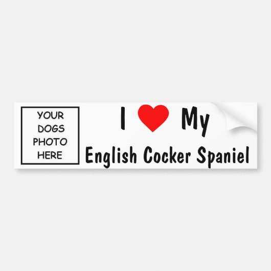 Engelse Cocker Spaniel Bumpersticker (Voorkant)
