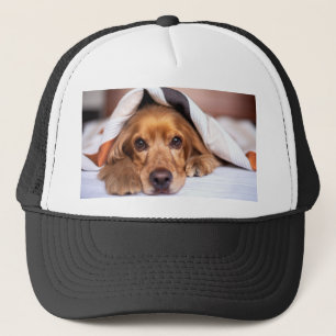 Engelse Cocker Spaniel Dog Trucker Pet