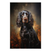 Engelse Cocker Spaniel