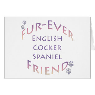 Engelse Cocker Spaniel Furever