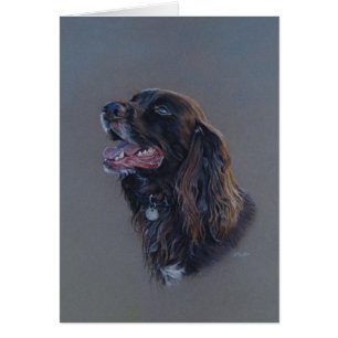 Engelse Cocker Spaniel hond. Mooie kunst, blanco k