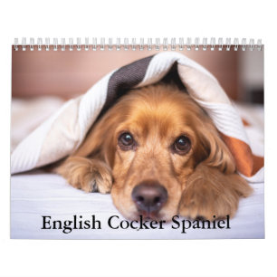 Engelse Cocker Spaniel Hondenkalender Kalender