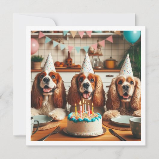 Engelse Cocker Spaniel kaart, Spaniel verjaardag Kaart (Voorkant)