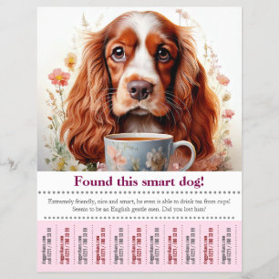 Engelse Cocker Spaniel kwijt, flyer gevonden