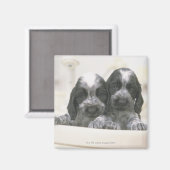 Engelse Cocker Spaniel Magneet (Voorkant / Achterkant)