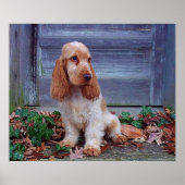 Engelse Cocker Spaniel Print (Voorkant)
