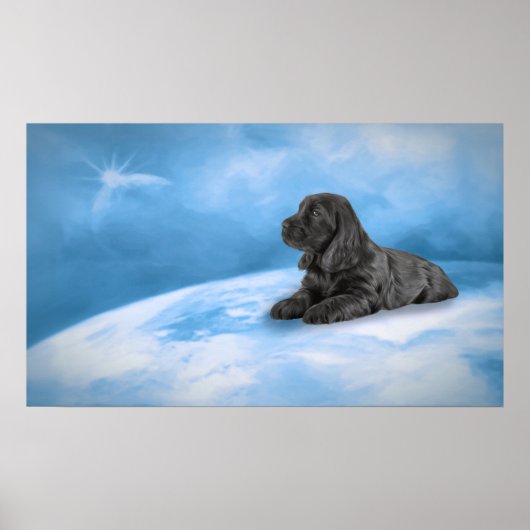 Engelse Cocker Spaniel puppy Poster (Voorkant)