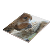 Engelse Cocker Spaniel Tile Tegeltje (Zijkant)